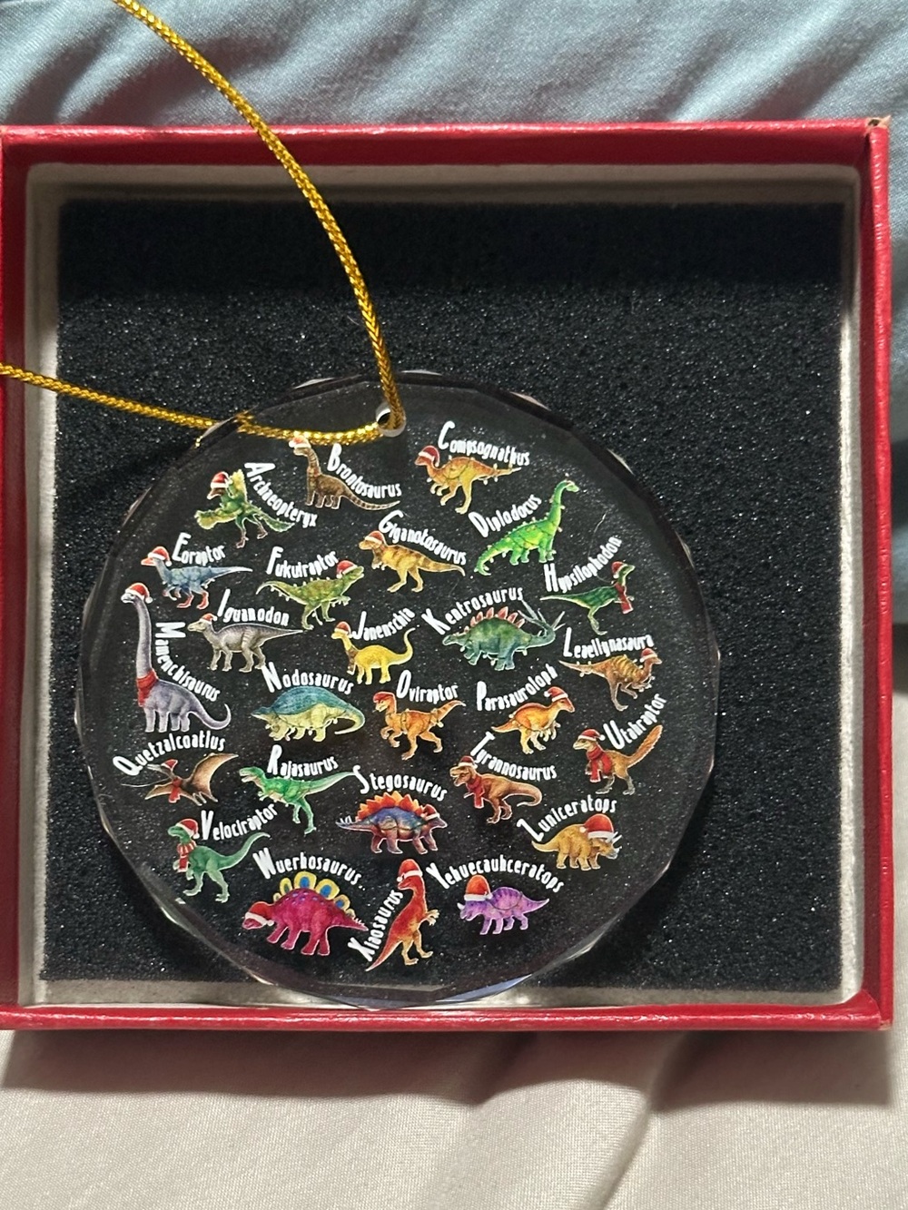 Clear Glass Dinosaur Alphabet A-Z Identification Christmas Ornament Round